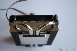 Reeven Vanxie17