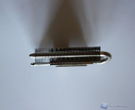 Reeven Vanxie30